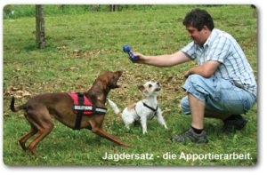 Hundeschule in Kippenheim - Hundetraining Kippenheim